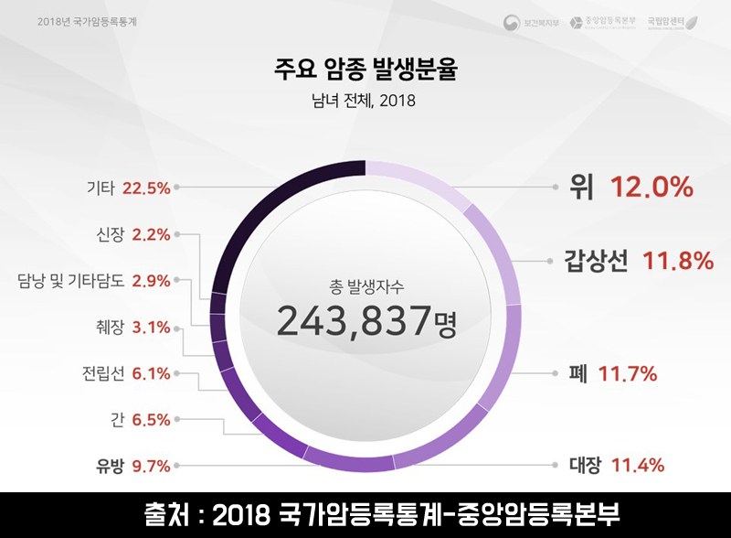 암보험 비갱신형 주요 암종 발생분율