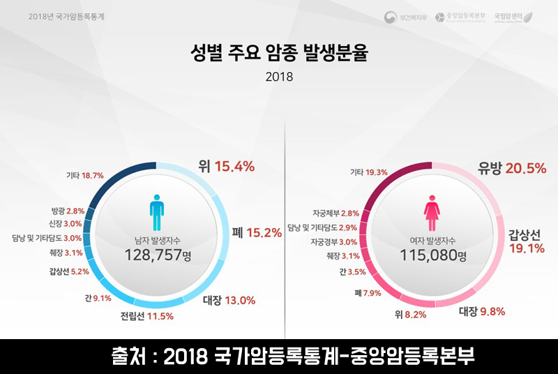암보험비교사이트 성별 주요 암종 발생분율